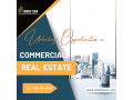 discover-excellence-with-urban-team-your-pathway-to-real-estate-success-small-0